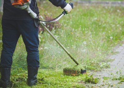 Marrion Valentin Services Jardinage Rochefort