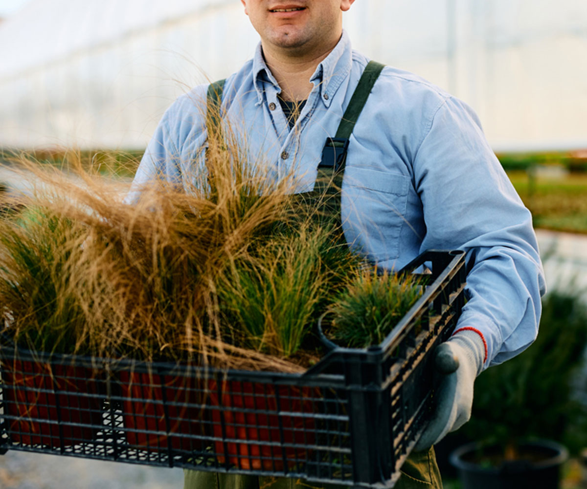 Expert--jardinerie-rochefort.server-prod-NAVAUGLE--